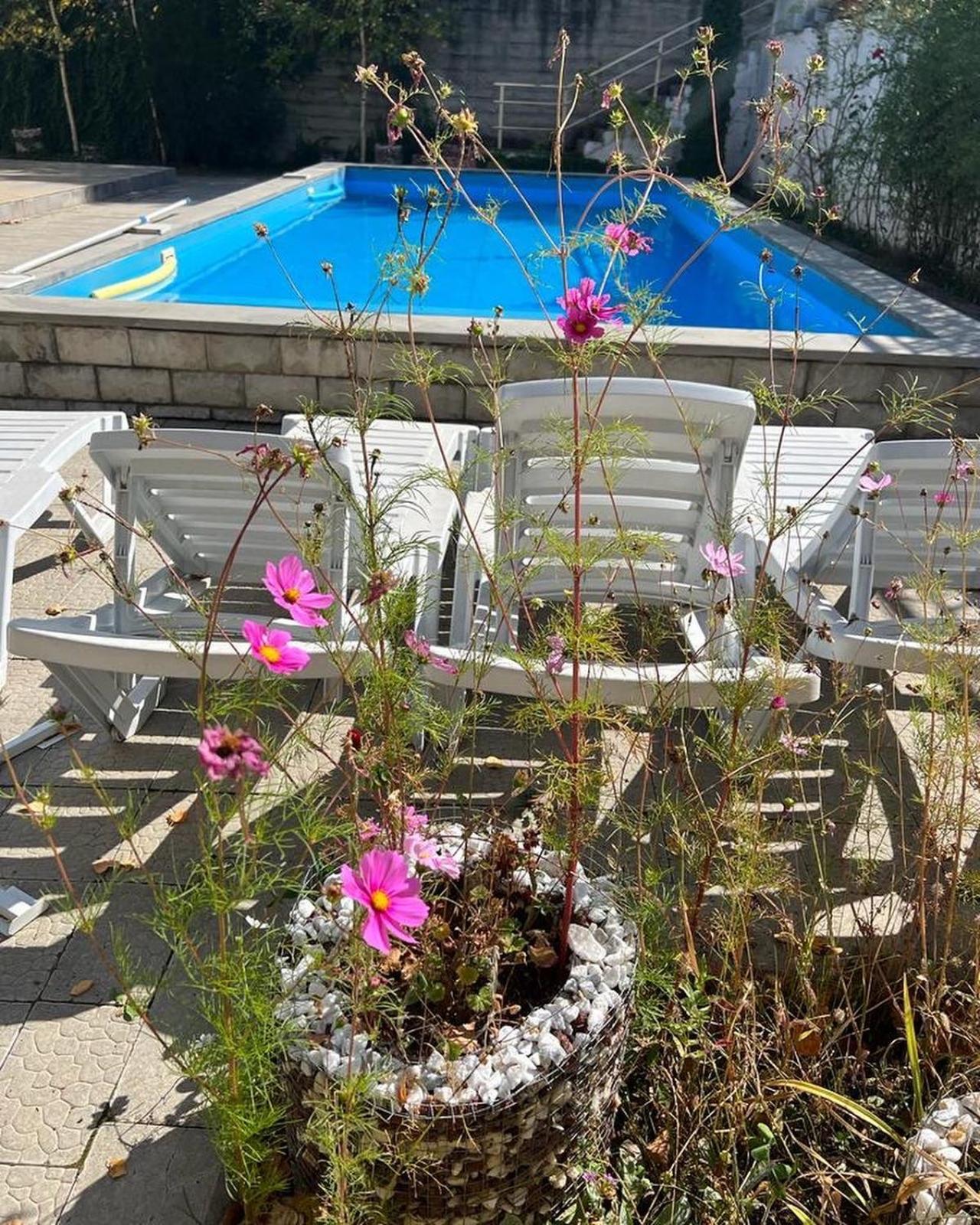 Вилла Dilijan Duplex Экстерьер фото